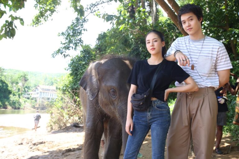 น่ารักซะไม่มี!! “พุดซ้อน” ช้างน้อยขโมยใจคนดู ในละคร “แก่นแก้ว” ช่อง 3