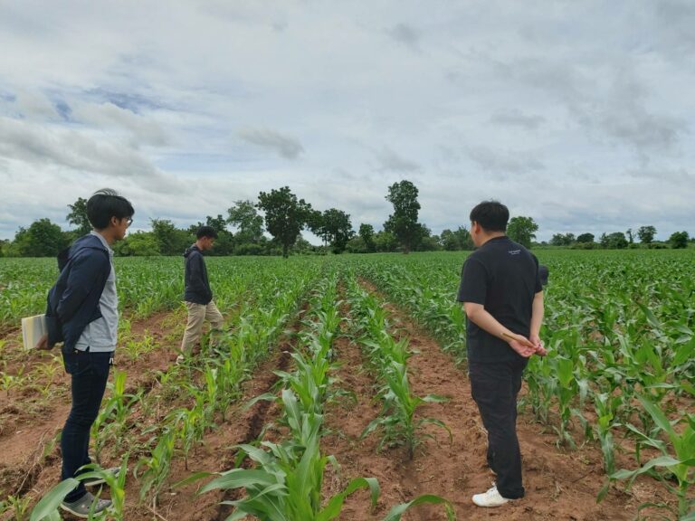 เกษตรกร จับมือ CPF ปลูกข้าวโพดไม่รุกป่า ปลอดเผา สร้างต้นทางห่วงโซ่อาหารที่ยั่งยืนต่อสิ่งแวดล้อมและชุมชน