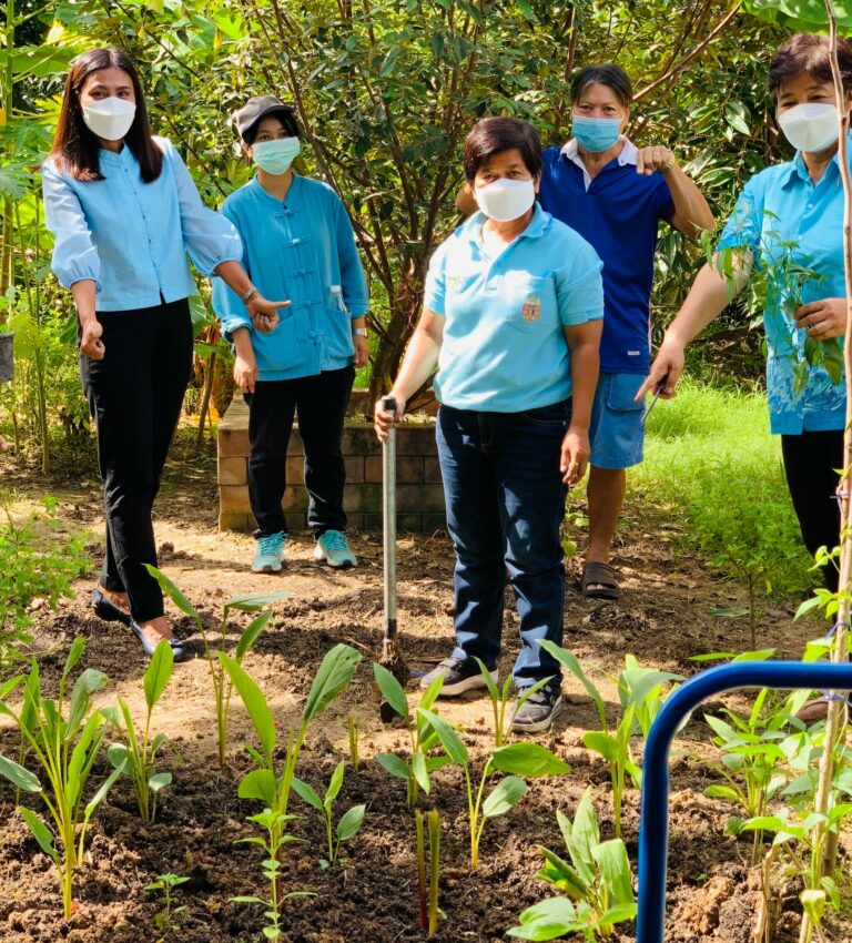 สำนักงานพัฒนาชุมชนอำเภอบางกรวย น้อมสำนึกในพระมหากรุณาธิคุณ สมเด็จพระนางเจ้าสิริกิติ์ พระบรมราชินีนาถ พระบรมราชชนนีพันปีหลวง นำทีมสตรีตำบลบางขนุน เดินหน้า “ศูนย์แบ่งปัน” หนุนชุมชนปลูกพืชสมุนไพรไทย เป็นคลังยาสามัญประจำบ้าน