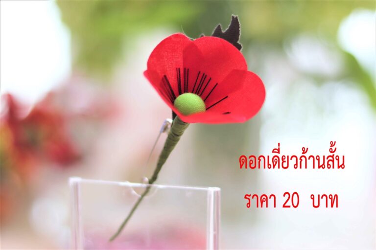 สัปดาห์ดอกป๊อปปี้บานเนื่องในวันทหารผ่านศึกปี 65